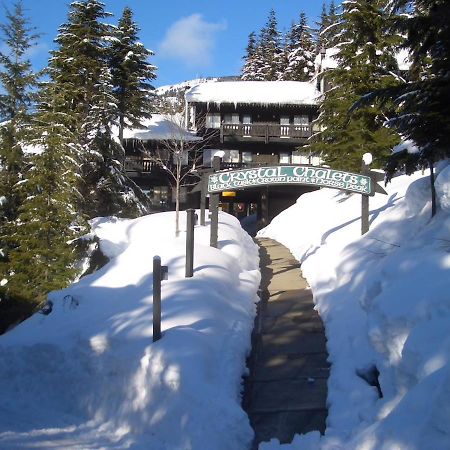 Crystal Chalets Greenwater 외부 사진