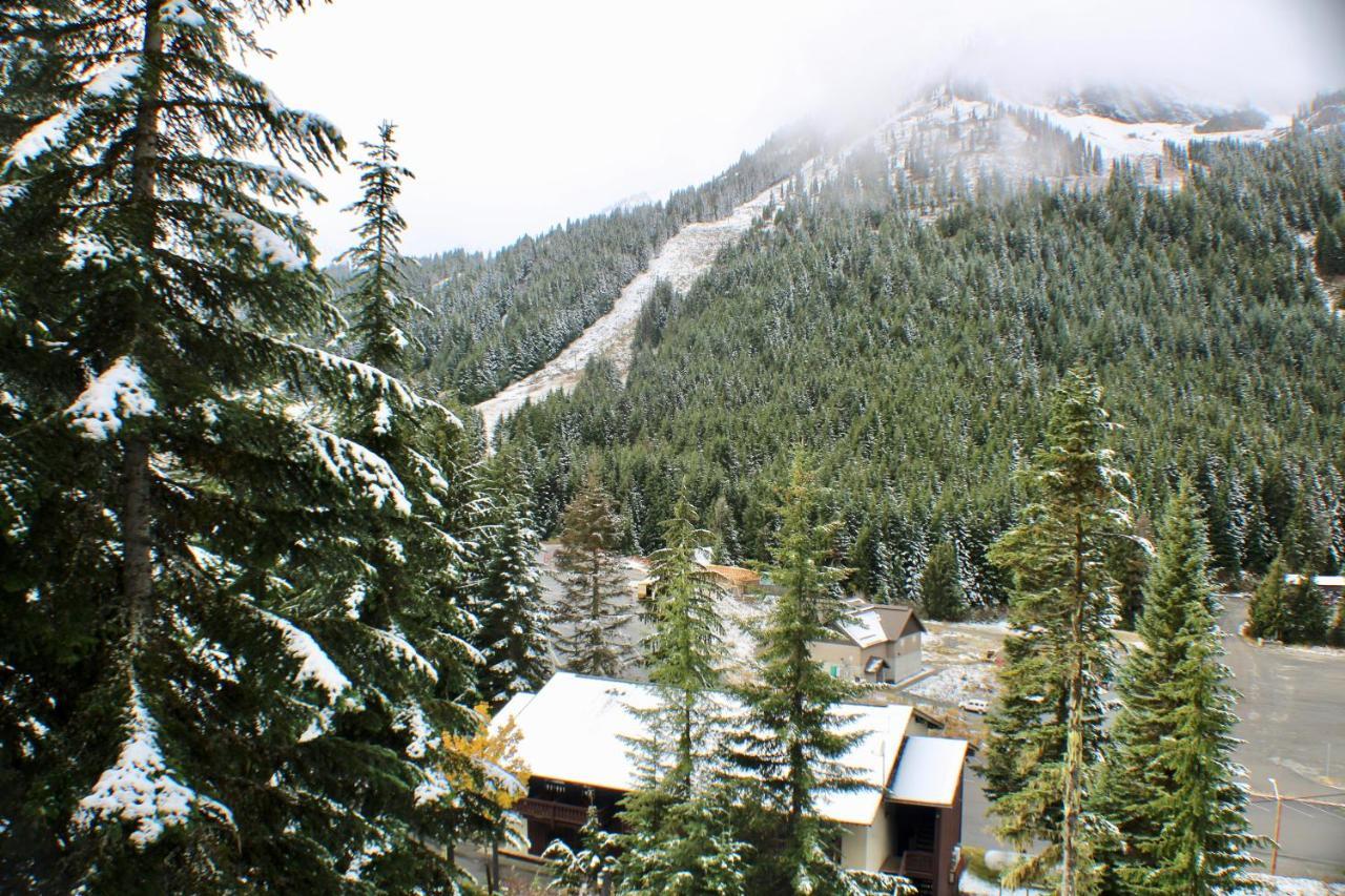 Crystal Chalets Greenwater 외부 사진
