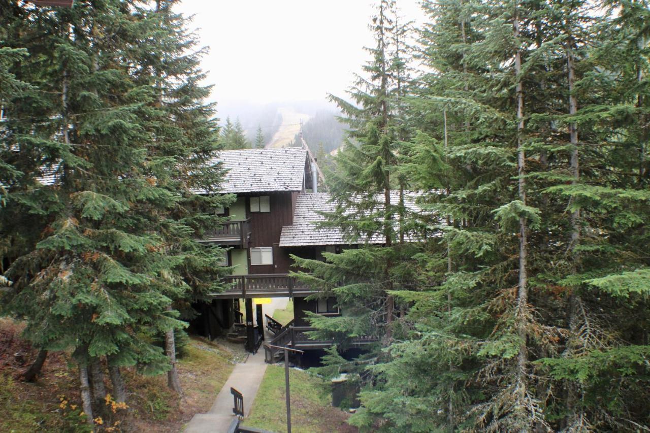 Crystal Chalets Greenwater 외부 사진